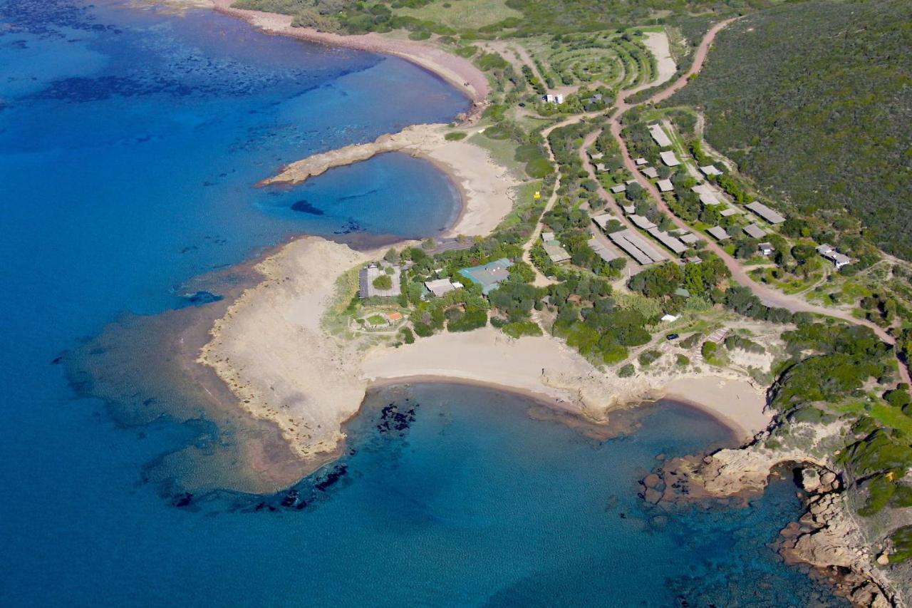 הוילה בוסה Casa Vacanze Nonna Nunzia מראה חיצוני תמונה
